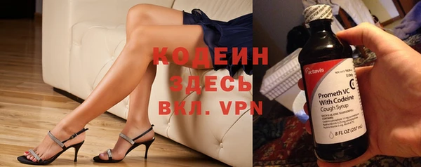 дурь Алексин
