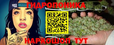 гидра Славянск-на-Кубани