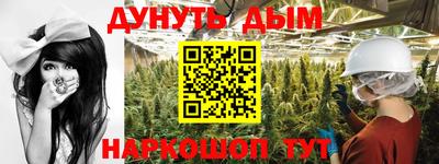 прущие крисы Гай