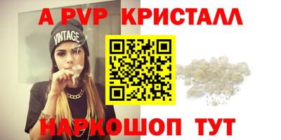 прущие крисы Гай