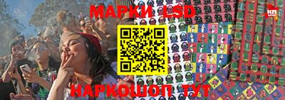 дурь Гатчина