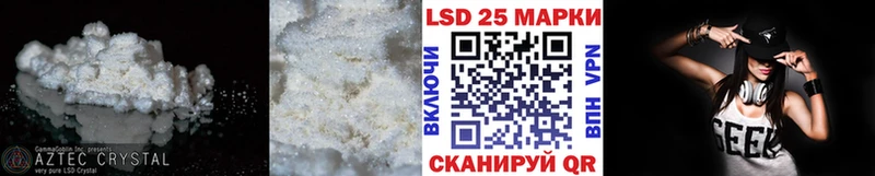 магазин продажи наркотиков  Новозыбков  блэк спрут вход  ЛСД экстази ecstasy 