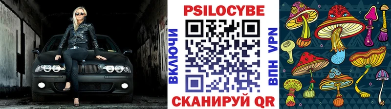 Галлюциногенные грибы мухоморы  Новозыбков 