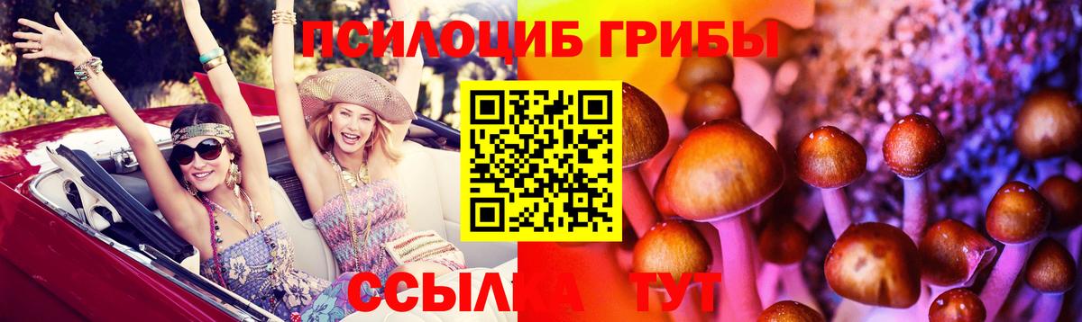 Галлюциногенные грибы Cubensis Новозыбков